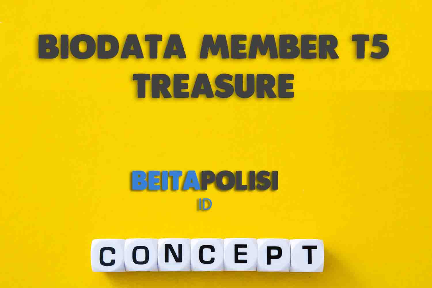 Biodata Member T5 Treasure