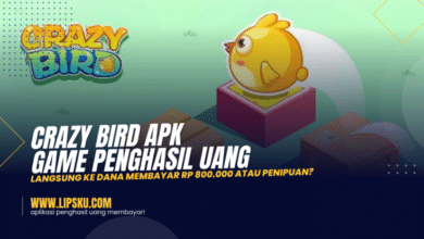 Crazy Bird Apk Game Penghasil Uang Langsung Ke Dana Membayar Rp 800.000 Atau Penipuan?
